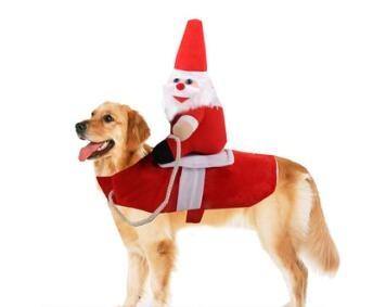 Christmas Costume - Bark’N Bougie 