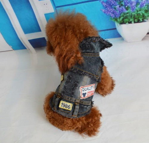 Cool Cowboy Vest - Bark’N Bougie 