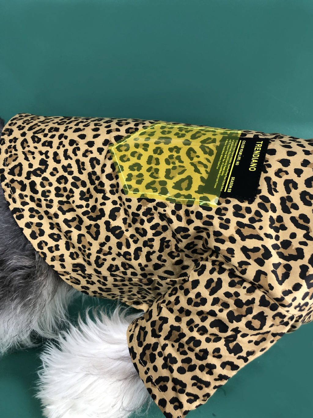 Leopard Shirt