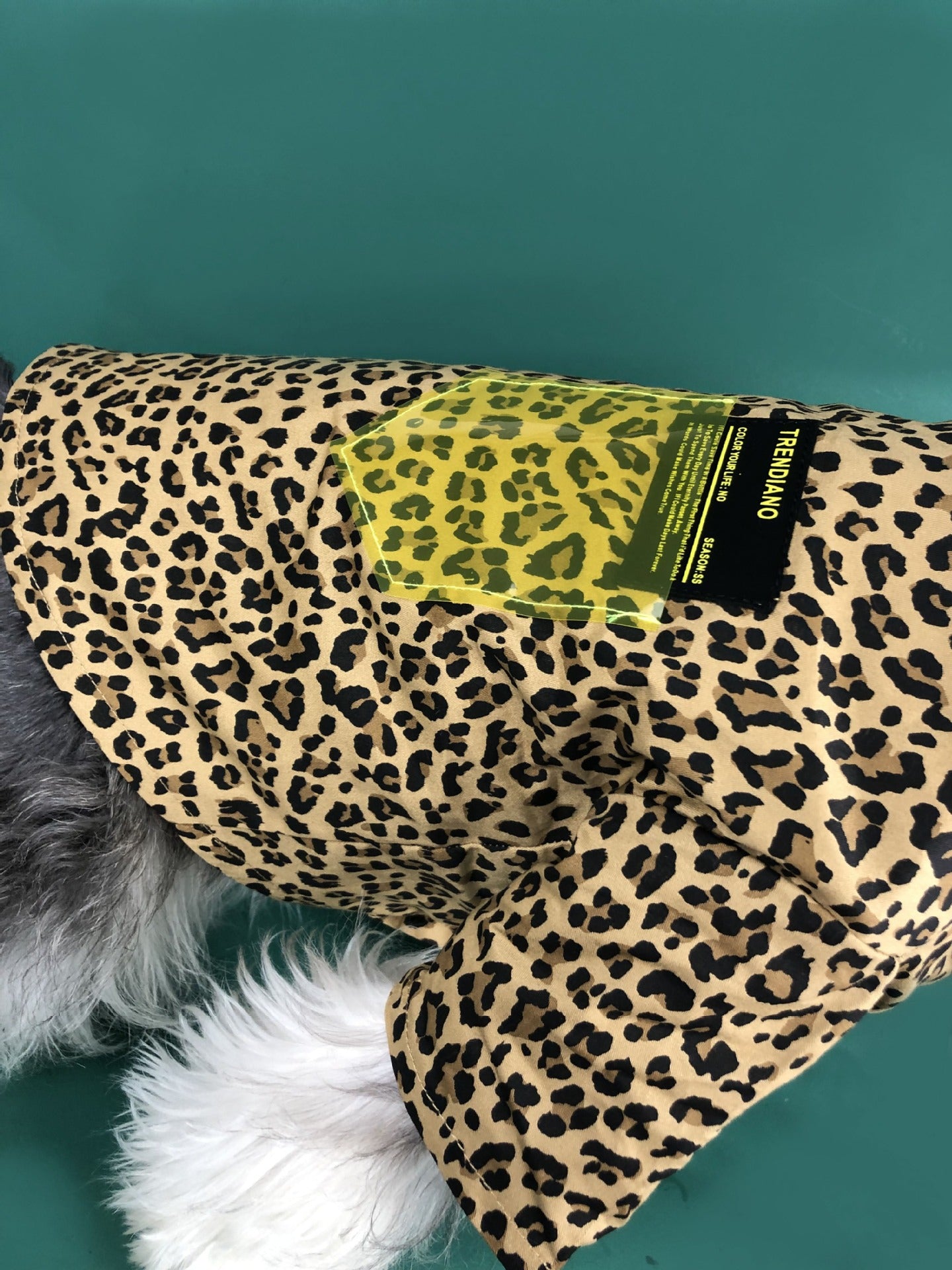 Leopard Shirt