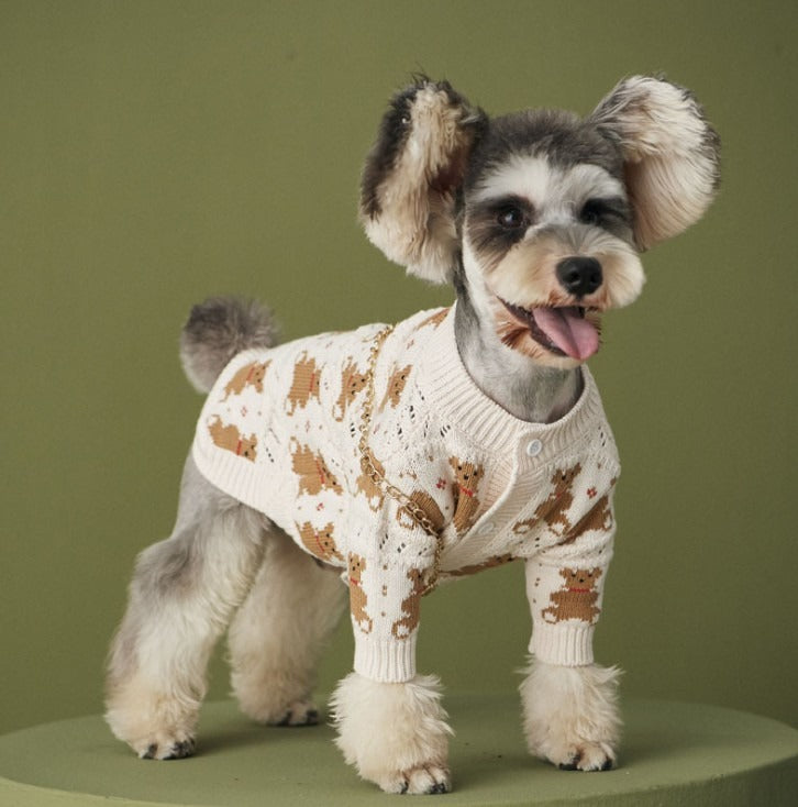 Cute Autumn Sweater