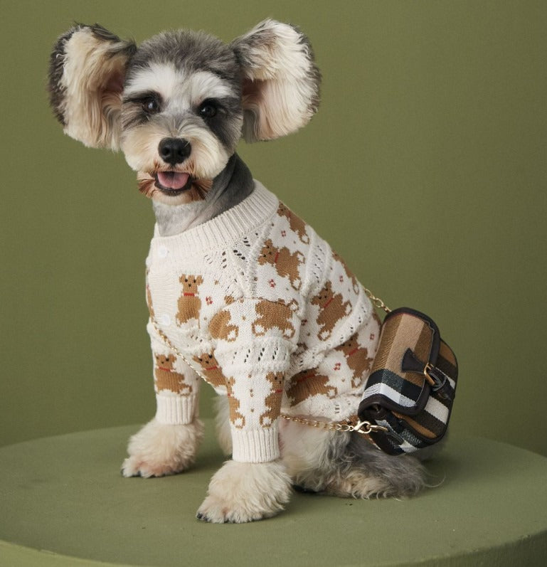 Cute Autumn Sweater