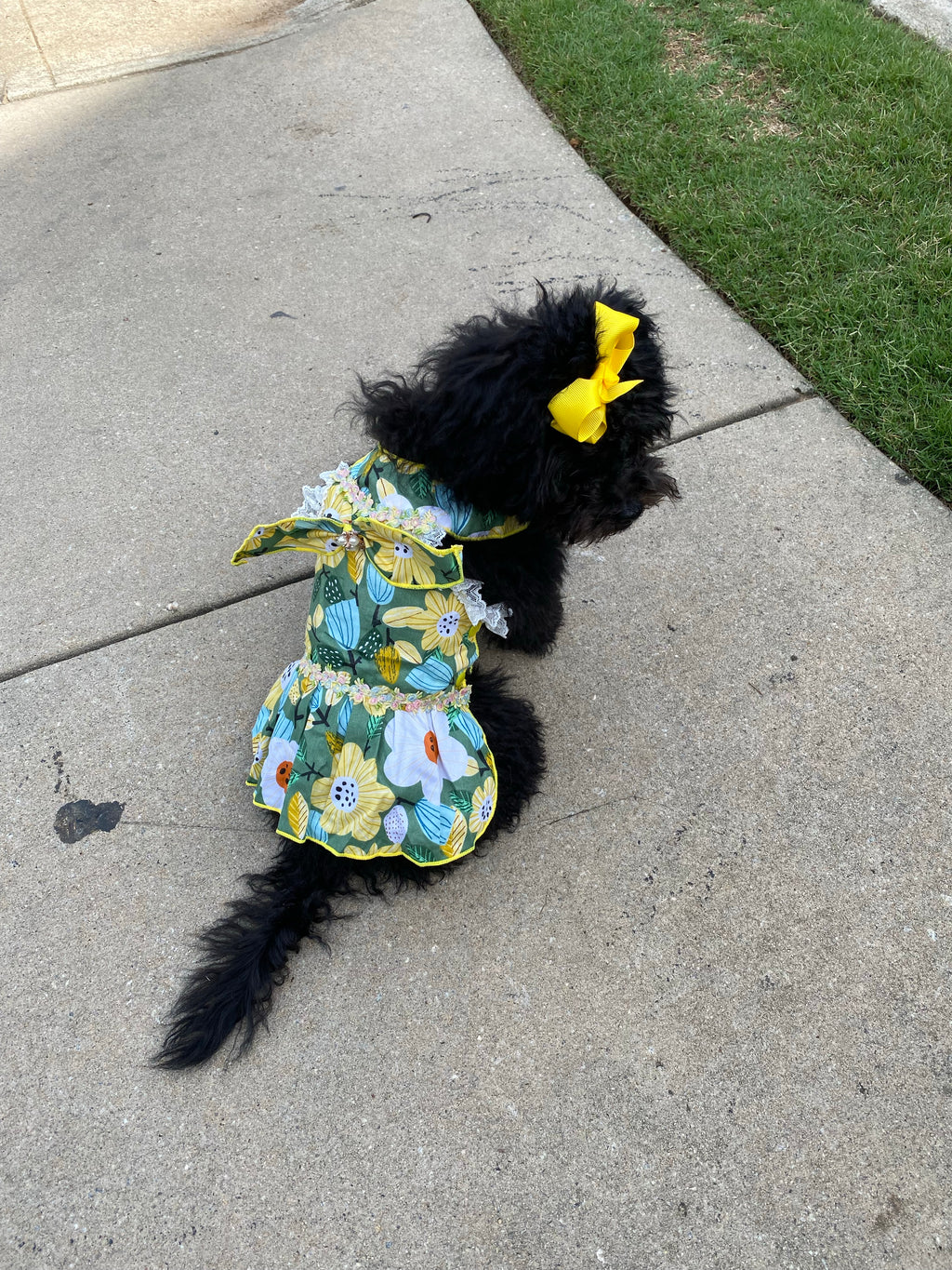 Flower Dress