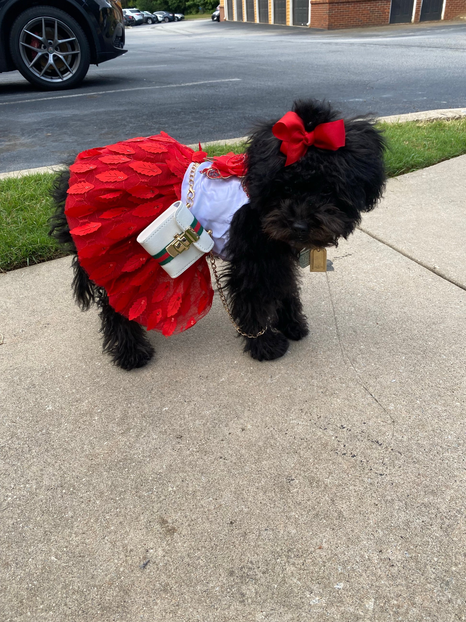 TuTu Dress
