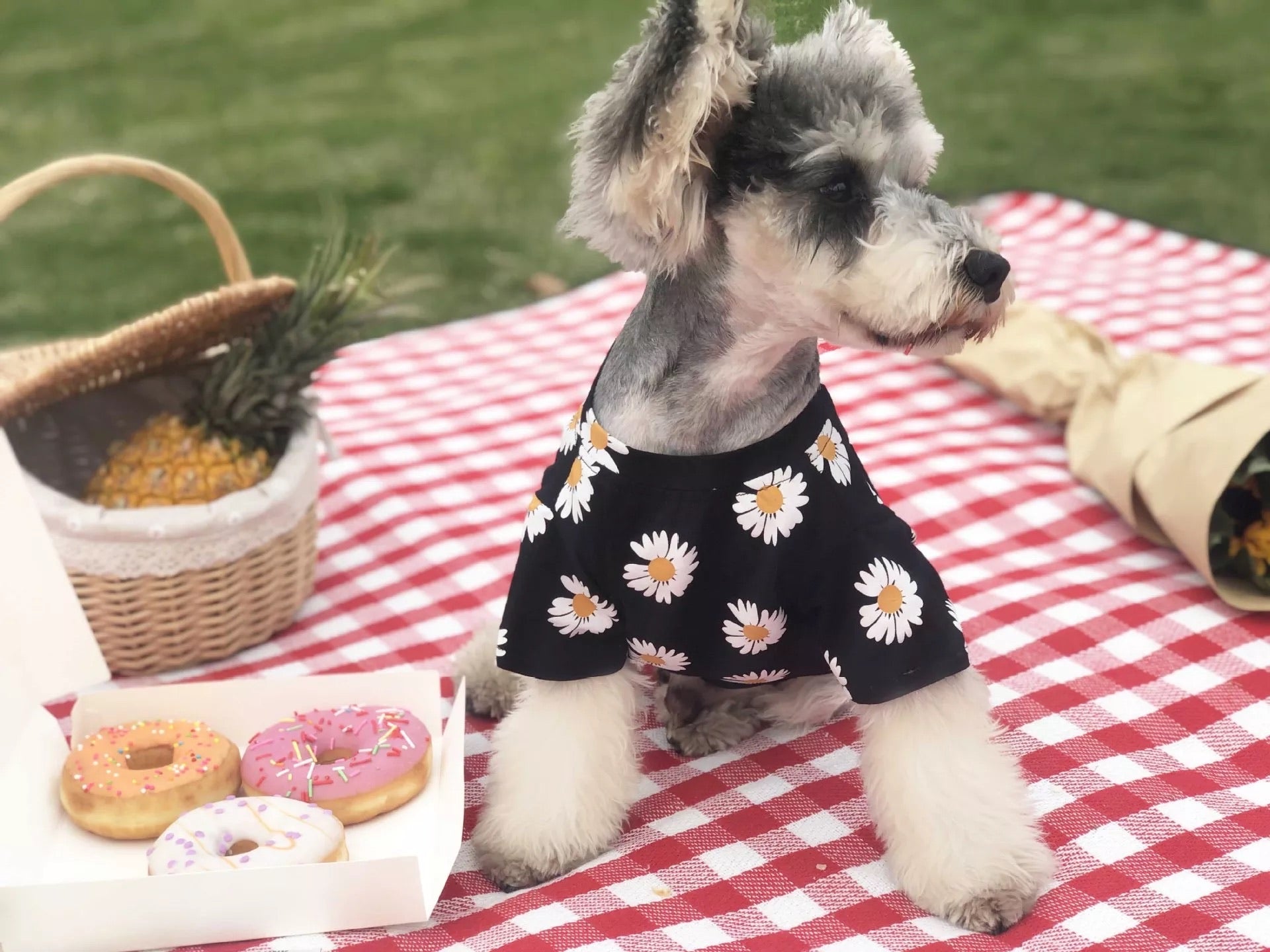 Daisy Summer Shirt