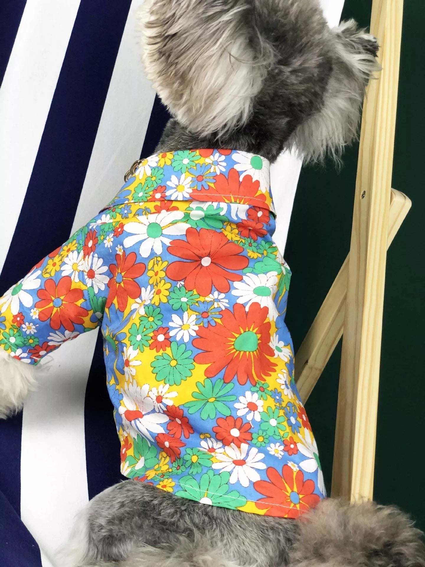 Summer Beach shirt