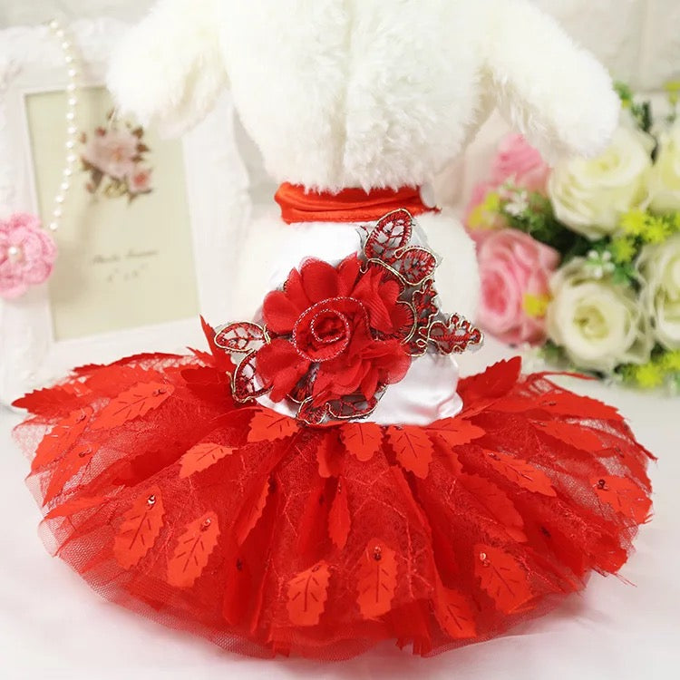 TuTu Dress