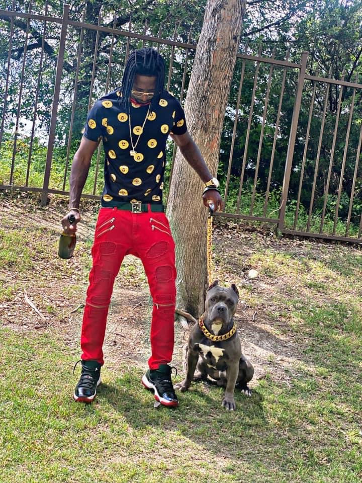 Cuban Link Chain and Leash