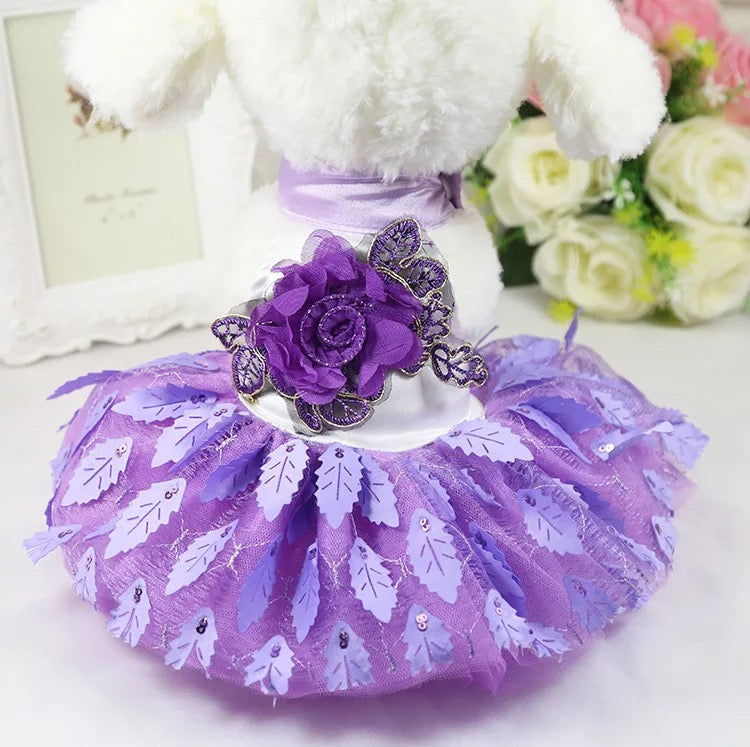 TuTu Dress