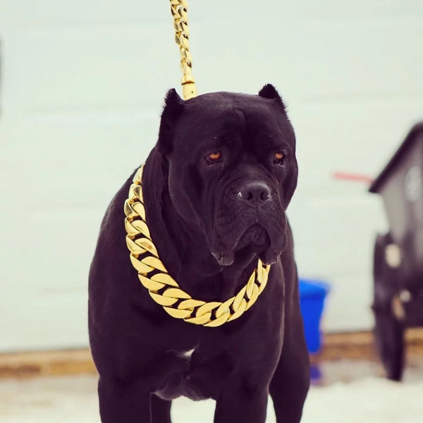 Cuban Link Chain and Leash