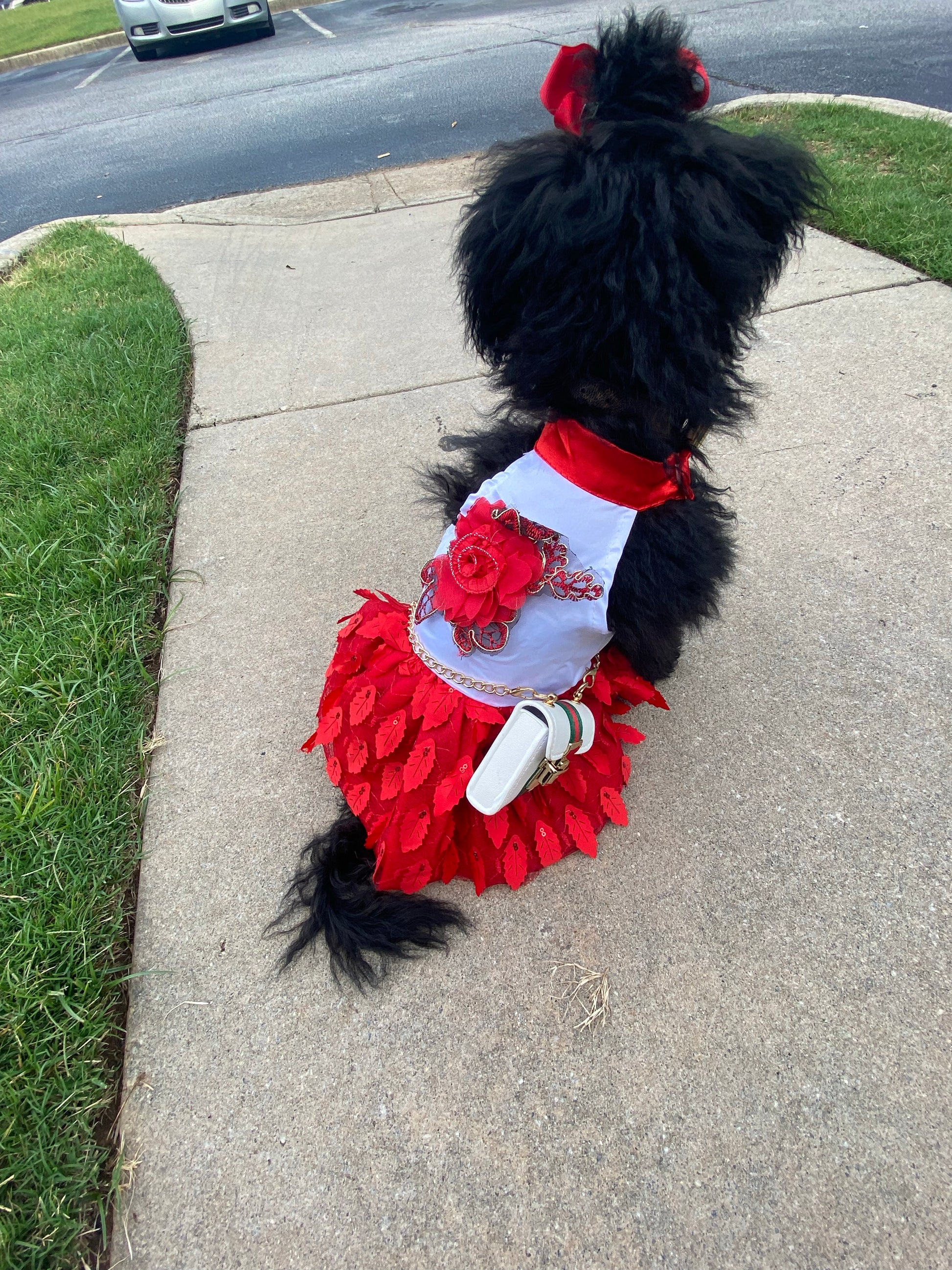 TuTu Dress