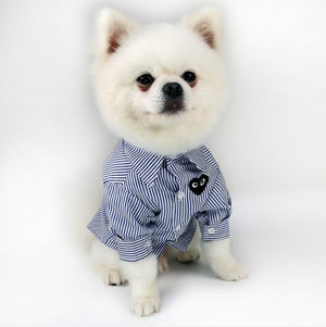 Stripe Button down