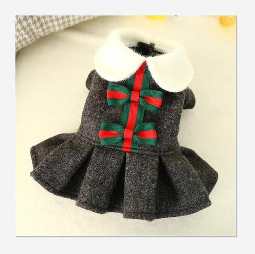 Cute Winter Dress – Bark'N Bougie